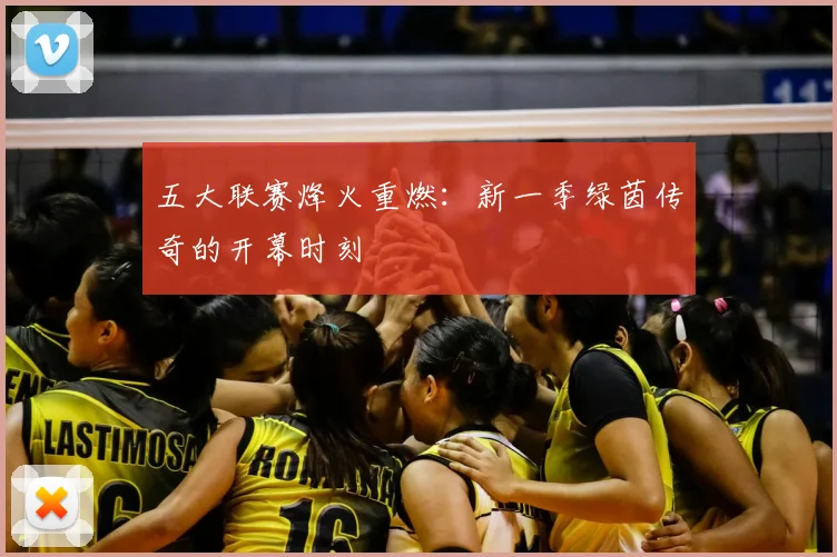 五大联赛烽火重燃:新一季绿茵传奇的开幕时刻