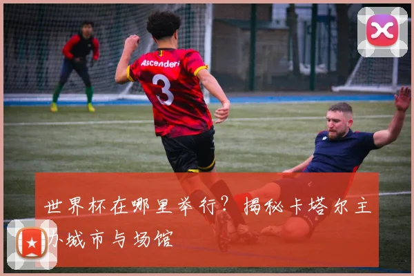 世界杯在哪里举行？揭秘卡塔尔主办城市与场馆