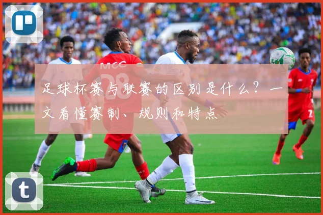 足球杯赛与联赛的区别是什么?一文看懂赛制、规则和特点