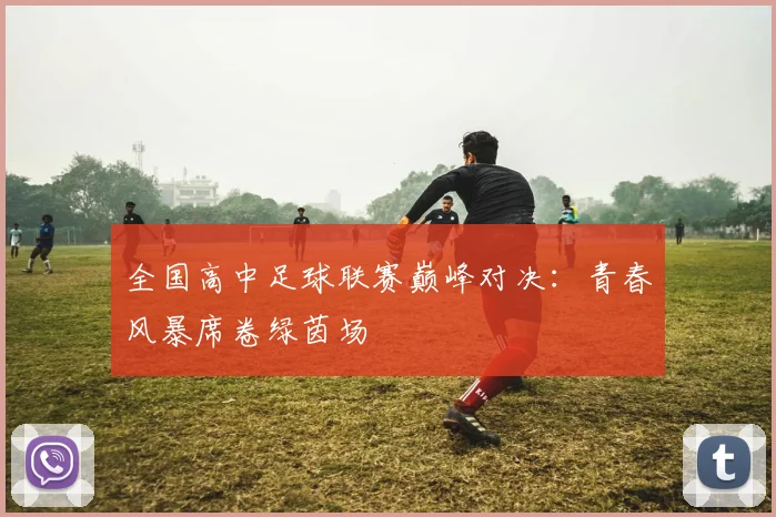 全国高中足球联赛巅峰对决：青春风暴席卷绿茵场
