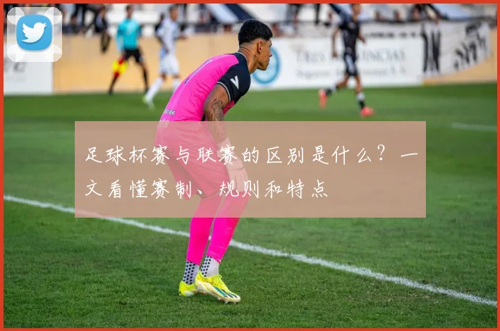 足球杯赛与联赛的区别是什么?一文看懂赛制、规则和特点